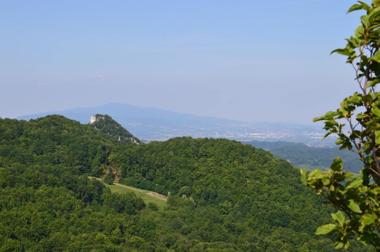Na Okic - A Private Forest Oasis Sveti Martin pod Okicem Bagian luar foto