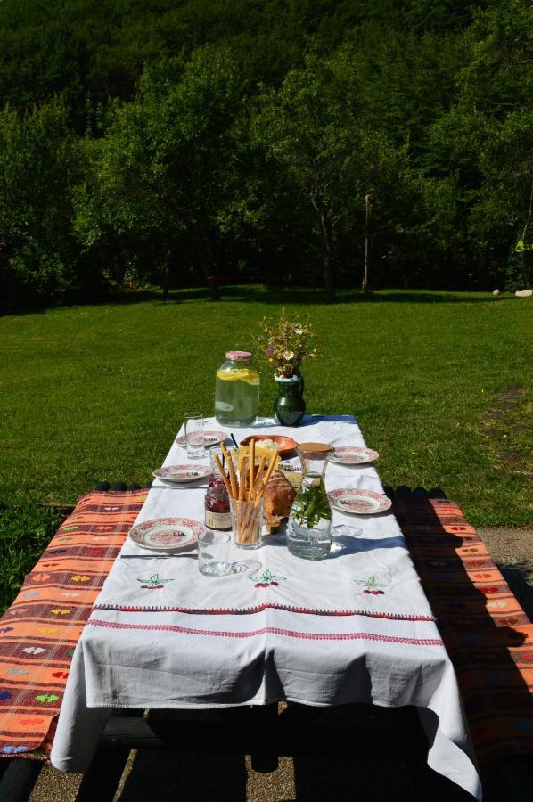 Na Okic - A Private Forest Oasis Sveti Martin pod Okicem Bagian luar foto