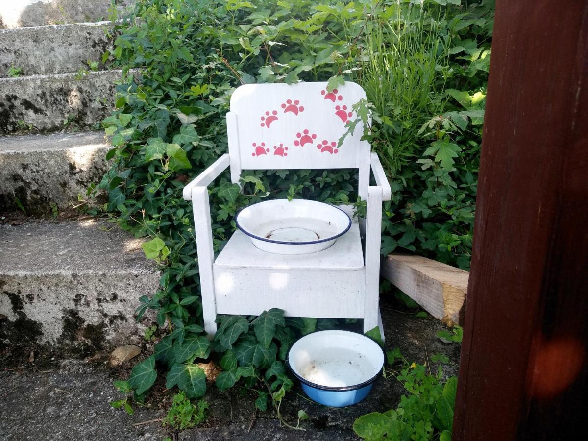 Na Okic - A Private Forest Oasis Sveti Martin pod Okicem Bagian luar foto