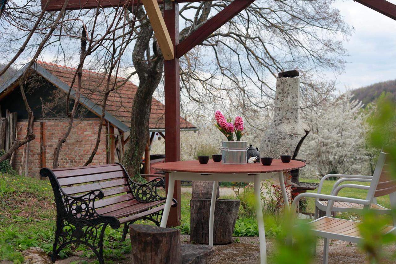 Na Okic - A Private Forest Oasis Sveti Martin pod Okicem Bagian luar foto