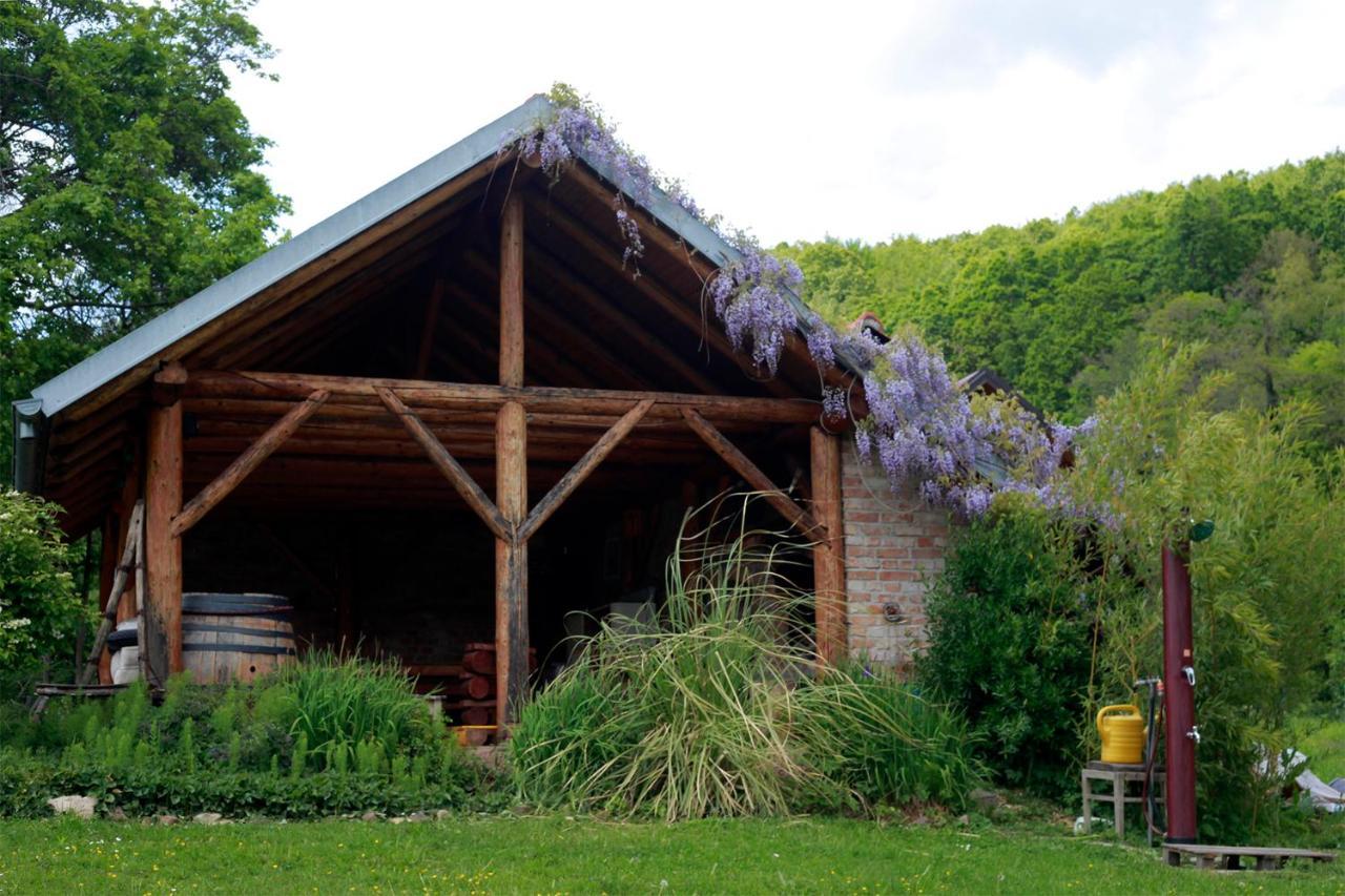 Na Okic - A Private Forest Oasis Sveti Martin pod Okicem Bagian luar foto