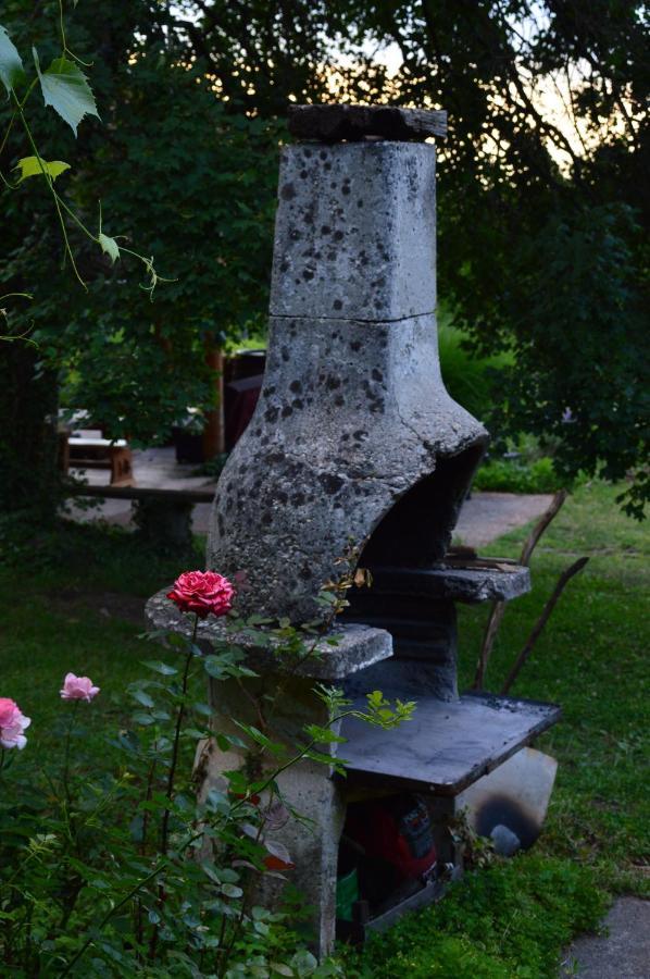 Na Okic - A Private Forest Oasis Sveti Martin pod Okicem Bagian luar foto